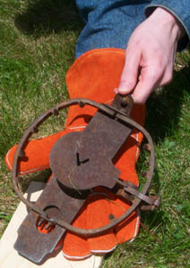 Animal Trap