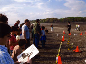 All-Star Magical Revue